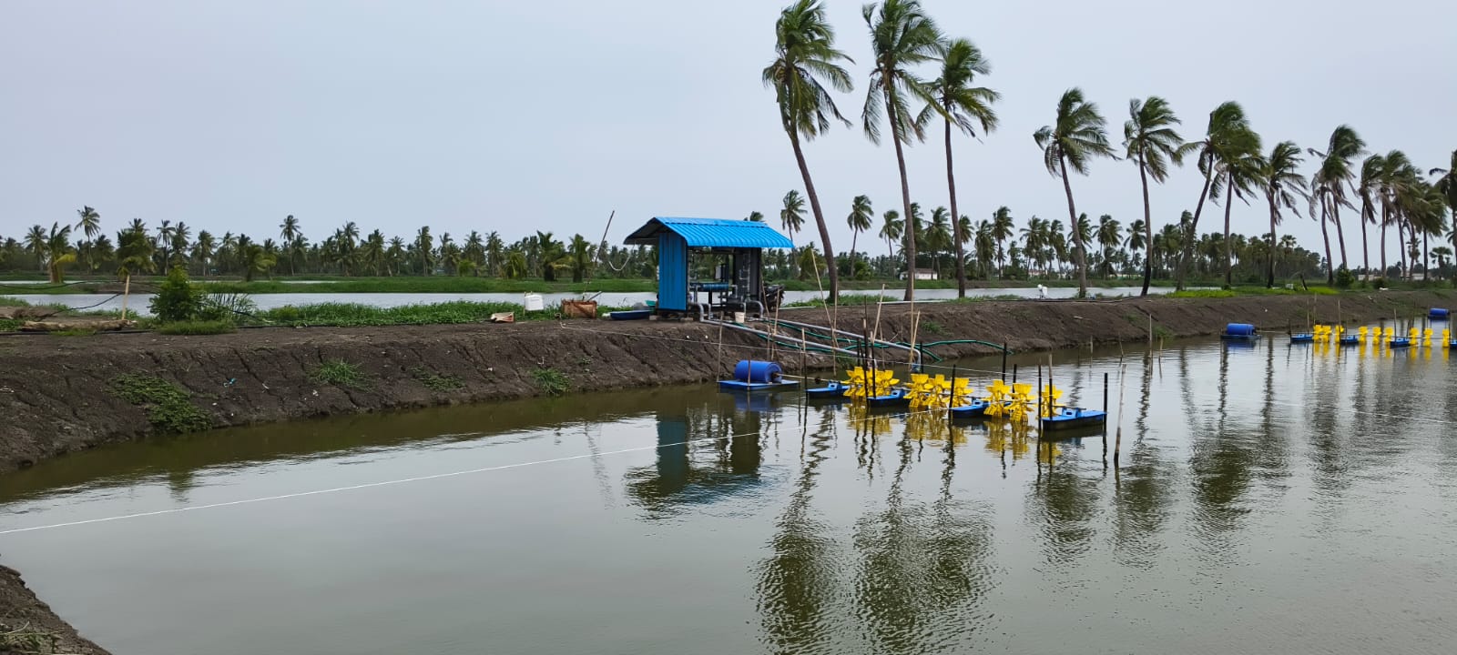Agriculture and Orchards